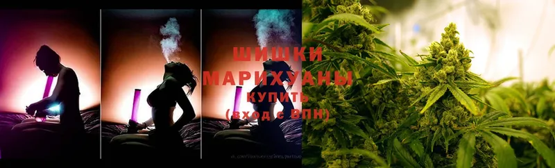 Канабис OG Kush  Зверево 